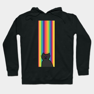 Kitty Cat at the End of the Rainbow Hoodie